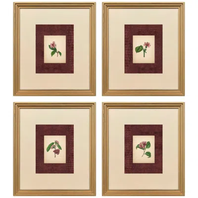Paragon Vintage Anemone 15"w X 17"h Framed Art - Set Of 4 In Neutral