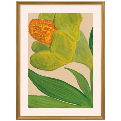 Paragon Vivid Petals 27"w X 37"h Framed Art In Multi