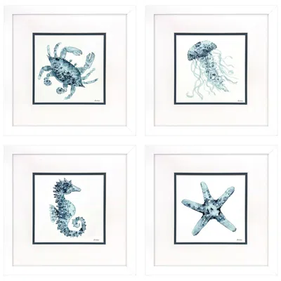 Paragon Water Sea Creatures 23"w X 23"h Framed Wall Art Set Of 4