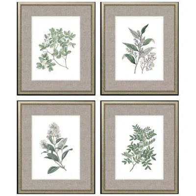 Paragon White Flowers 20"w X 24"h Framed Art Set Of 4 In Multi