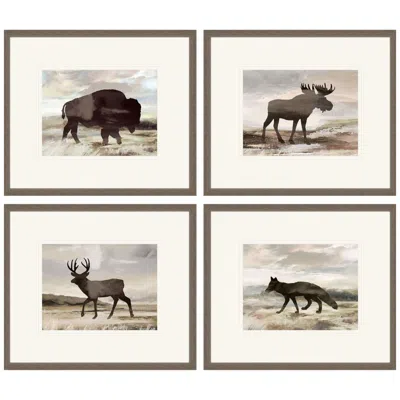 Paragon Wilderness Explorer 25"w X 21"h Framed Art Set Of 4 In Multi