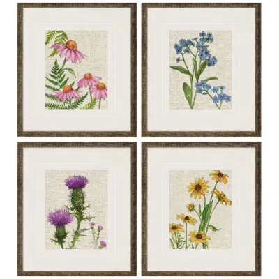 Paragon Wildflowers 15"w X 17"h Framed Art Set Of 4 In Multi