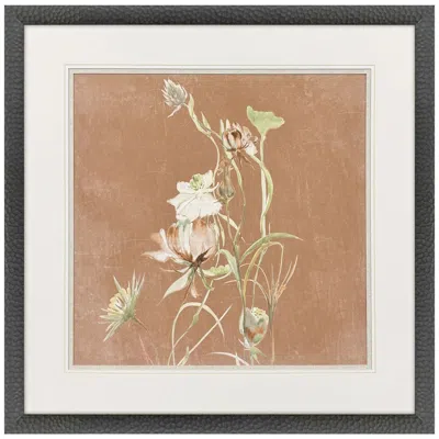 Paragon Wildflowers Iii 35"w X 35"h Transitional Framed Art