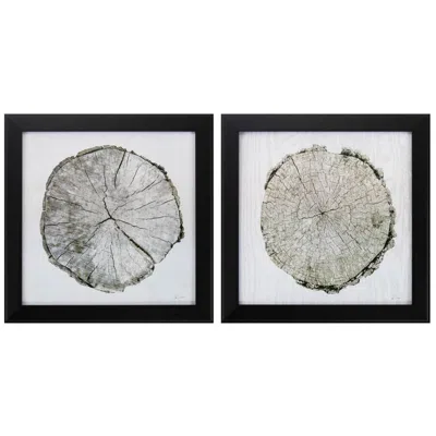 Paragon Woodland Years 14"w X 14"h Framed Art Set Of 2 In Black