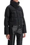 Parajumpers Short Cecy Down Jacket In Black