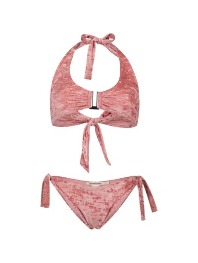 Paramidonna Jane Velvet-halterneck Bikini In Pink
