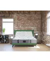 Paramount Hd Ash 12" Plush Tight Top Mattress Set, King, Macy's Exclusive In Transparent