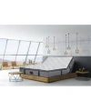 Paramount Hd Dargan 13 Cushion Firm Euro Top Mattress Collection Macys Exclusive In Transparent