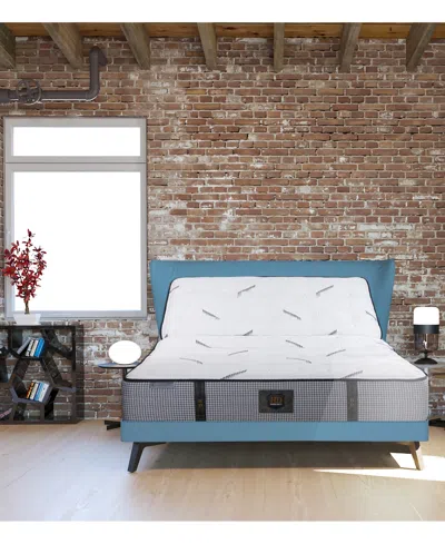 Paramount Hd Granite 11" Extra Firm Mattress In Transparent