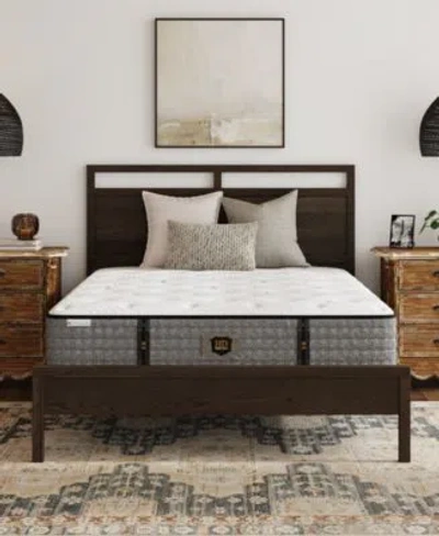 Paramount Hd Landon 12 Medium Firm Tight Top Mattress Collection In Transparent