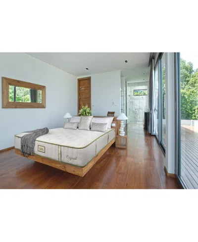 Paramount Nature Spa Exhale 2.0 13" Plush Mattress-queen, Created For Macy's In Transparent