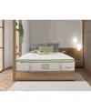 Paramount Nature Spa Oasis 2.0 13" Pillowtop Mattress Set-twin Xl, Created For Macy's In Transparent