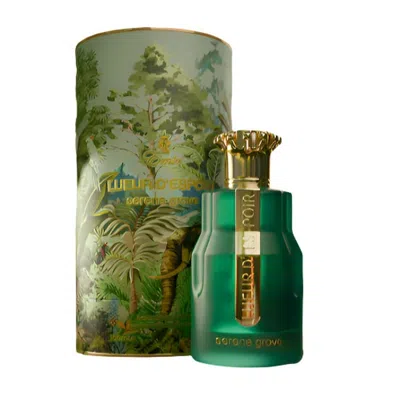 Paris Corner Unisex Lueur D'espoir Serene Grove Edp Spray 3.4 oz Fragrances 6239318796310