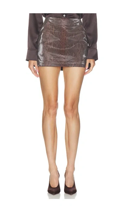 Paris Georgia Cass 미니 스커트 In Brown