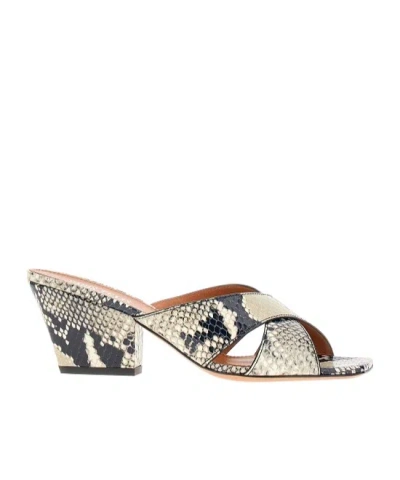 PARIS TEXAS 60MM ARIZONA MULES