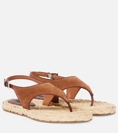 Paris Texas Amalfi Suede Thong Sandals In Brown