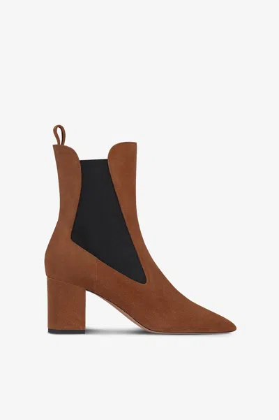 Paris Texas Ankle Boots In Brown Calf Suede Leather