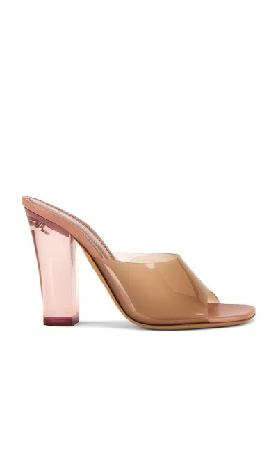 Paris Texas Ava 100 Mule
