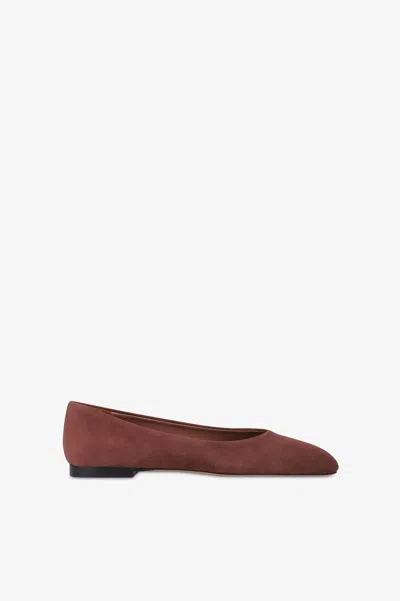 Paris Texas Ballet Flats In Mahogany Suede Leather