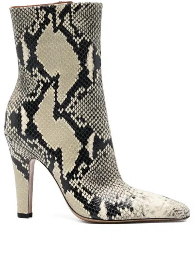 Paris Texas Belle Snakeskin Pointed Ankle Boot In Neutral
