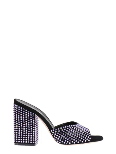 Paris Texas Black And Violet Leather Mules In Violet Onyx