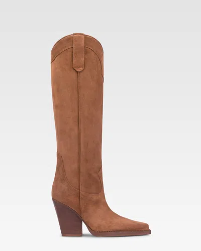 Paris Texas Boots In Brown Velour