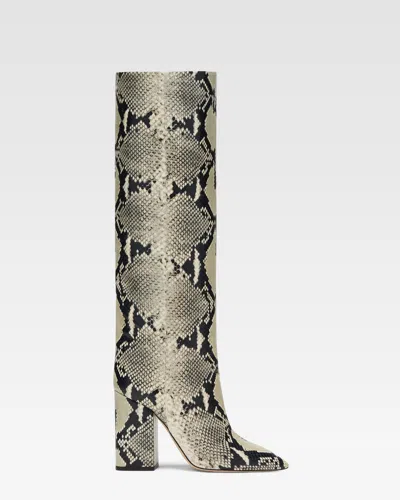 Paris Texas Boots In Grey Printed Python In Animal Print