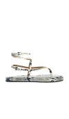 Paris Texas Hydra Flat Sandals In Black,light Grey