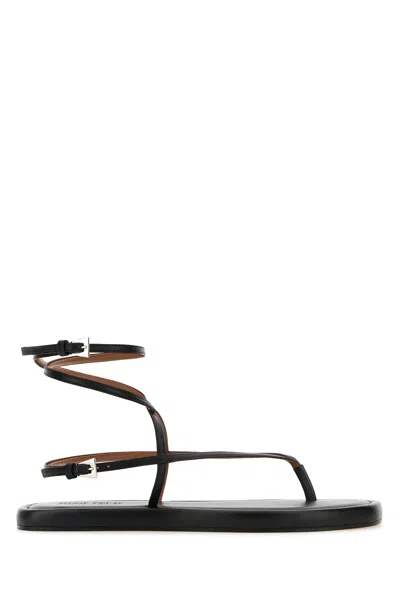 Paris Texas Hydra Flat Sandal Px1644xnpp3 Black