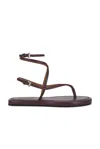 Paris Texas Hydra Flat Sandal In Rouge Noir
