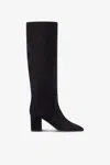 Paris Texas Knee-high Boots In Soft Off-black Suede Leather In Off-black