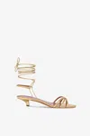 Paris Texas Lace-up Sandals In Gold Metallic Python-print Leather