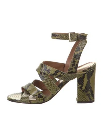 Pre-owned Paris Texas Leather Animal Print Pumps In Green