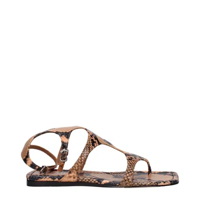 Paris Texas Leather Flip-flop Women's Sandal In Brown
