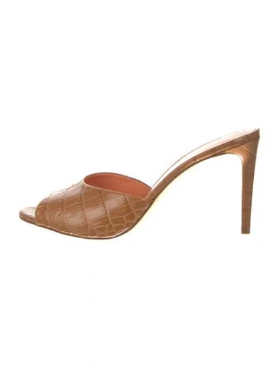 Pre-owned Paris Texas Leather Mules In Brown