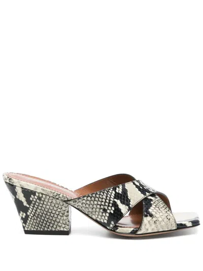 Paris Texas Leather Shoes Sandals In Animal Print