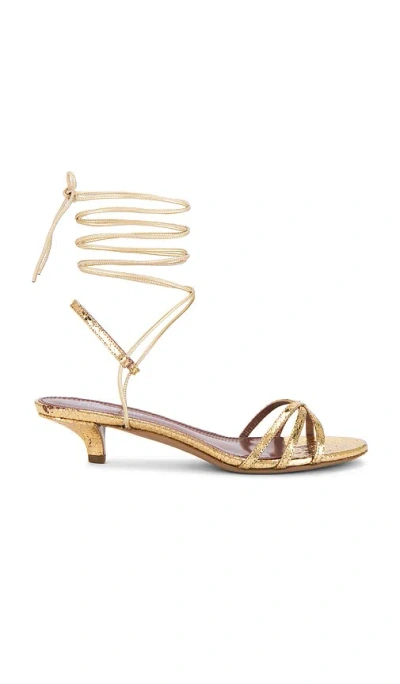 Paris Texas Linda Lace Up 35 Sandal Sandal In Gold