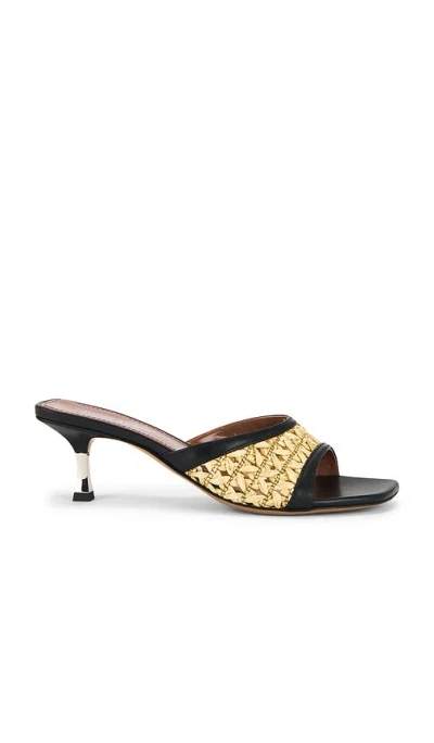 Paris Texas Lorena 55 Mule