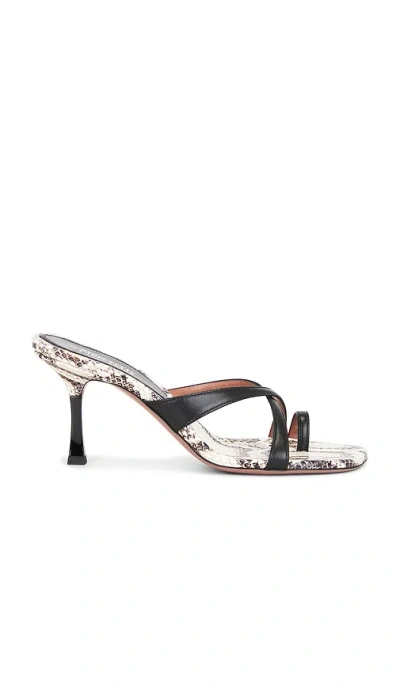 PARIS TEXAS LORENA THONG MULE 75