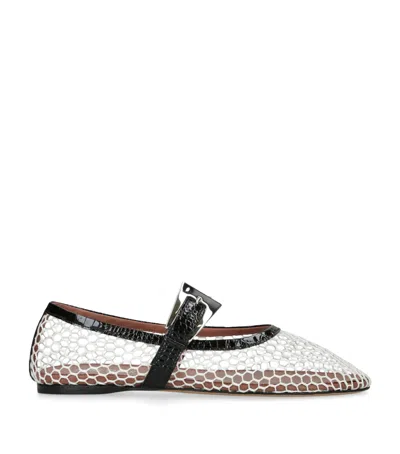 Paris Texas Mesh Sveva Ballet Flats
