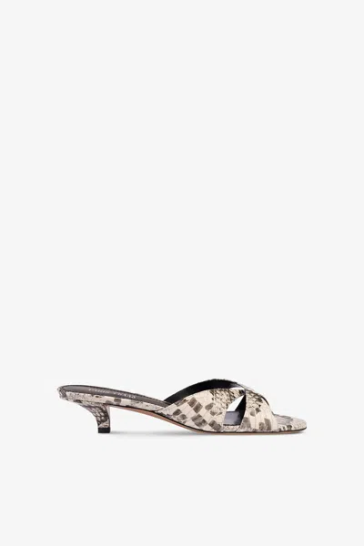 Paris Texas Mules In White Python-print Leather In Gray
