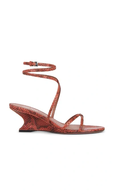 Paris Texas Nina Lace Up Sandal 50 In Multi
