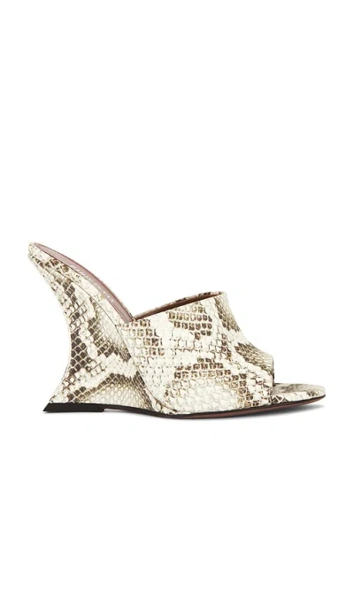 Paris Texas Nina Mule 105 In Animal Print