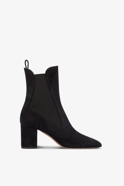 PARIS TEXAS POINTED ANKLE BOOTS IN SOFT OFF-BLACK SUEDE LEATHER