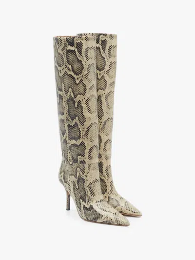 Pre-owned Paris Texas Pre-loved Women's Croc-embossed Knee-high Heeled Boots In Cream/black In Multi