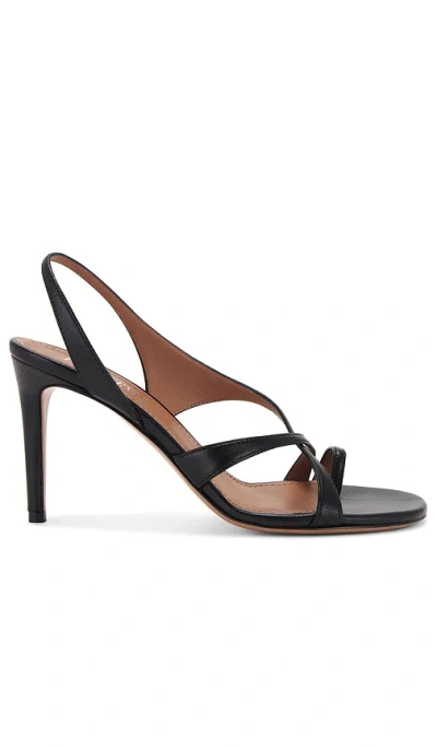 Paris Texas Sandale 85 In Black