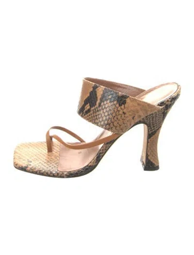 Pre-owned Paris Texas Snakeskin Animal Print Slides In Brown