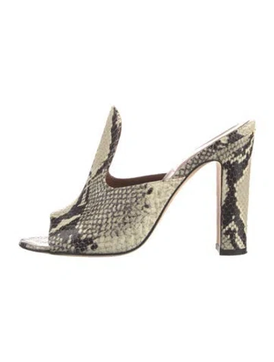Pre-owned Paris Texas Snakeskin Animal Print Slides In Multi