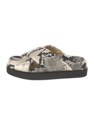 Pre-owned Paris Texas Snakeskin Animal Print Slides In Multicolor