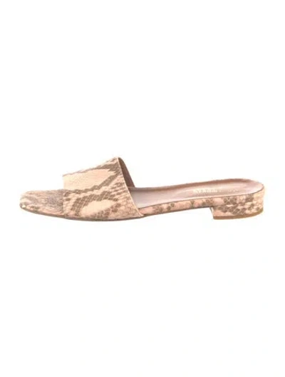 Pre-owned Paris Texas Snakeskin Animal Print Slides In Neutral